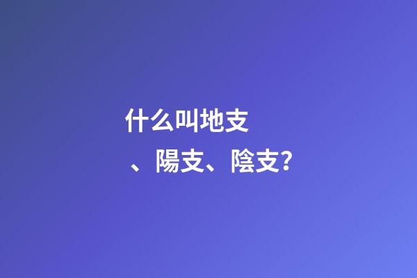 什么叫地支、陽支、陰支？